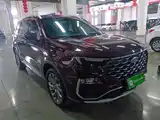صورة 22 - Ford Territory