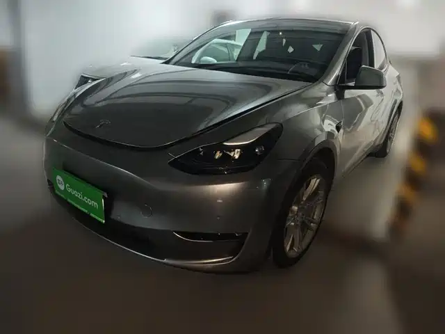 Tesla Model Y Увеличенный запас хода, полный привод