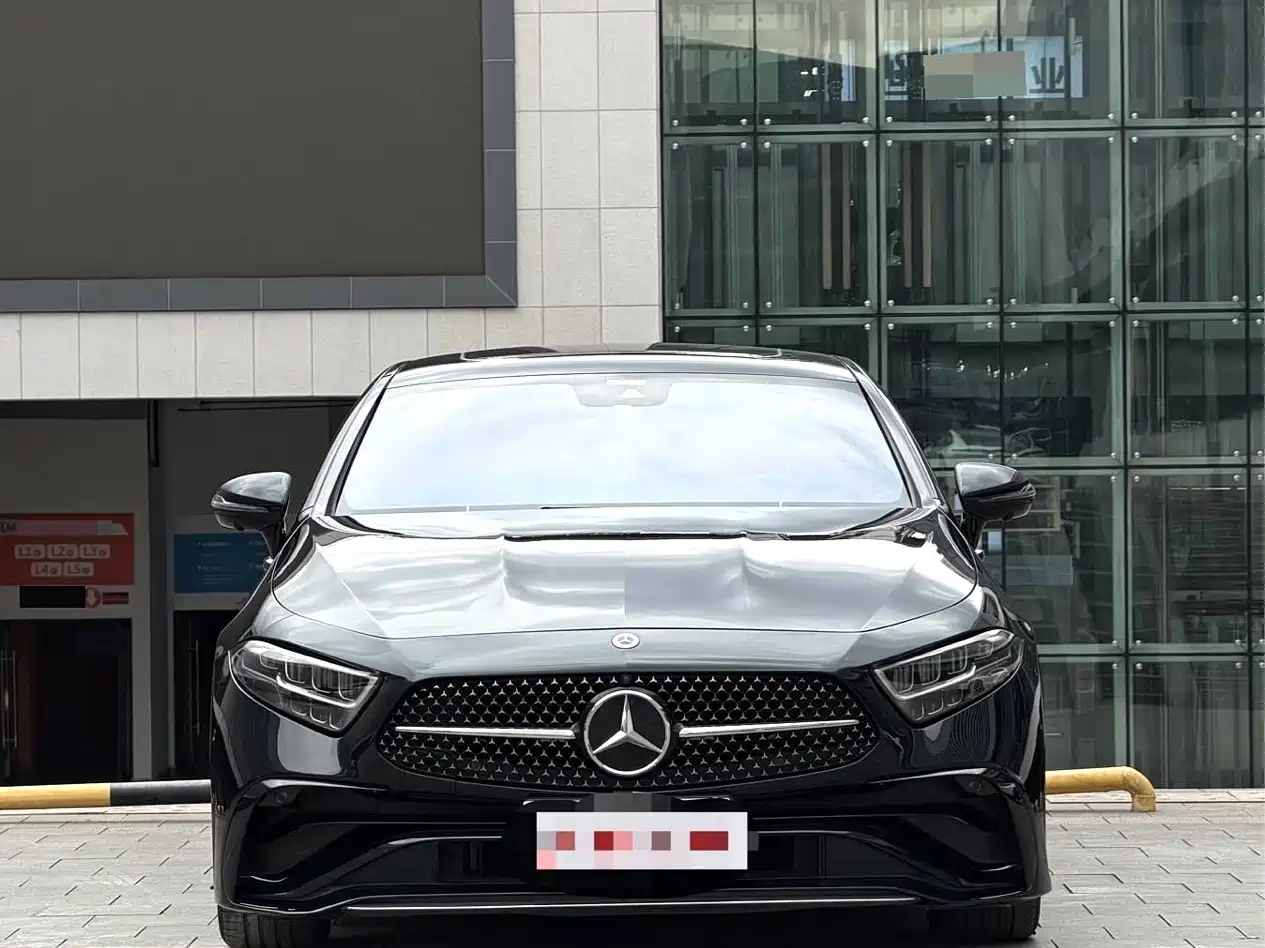 Mercedes-Benz CLS 2022 CLS 300 Luxury фото 2