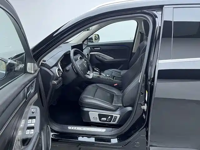 WEI PAI WEI BRAND VV6