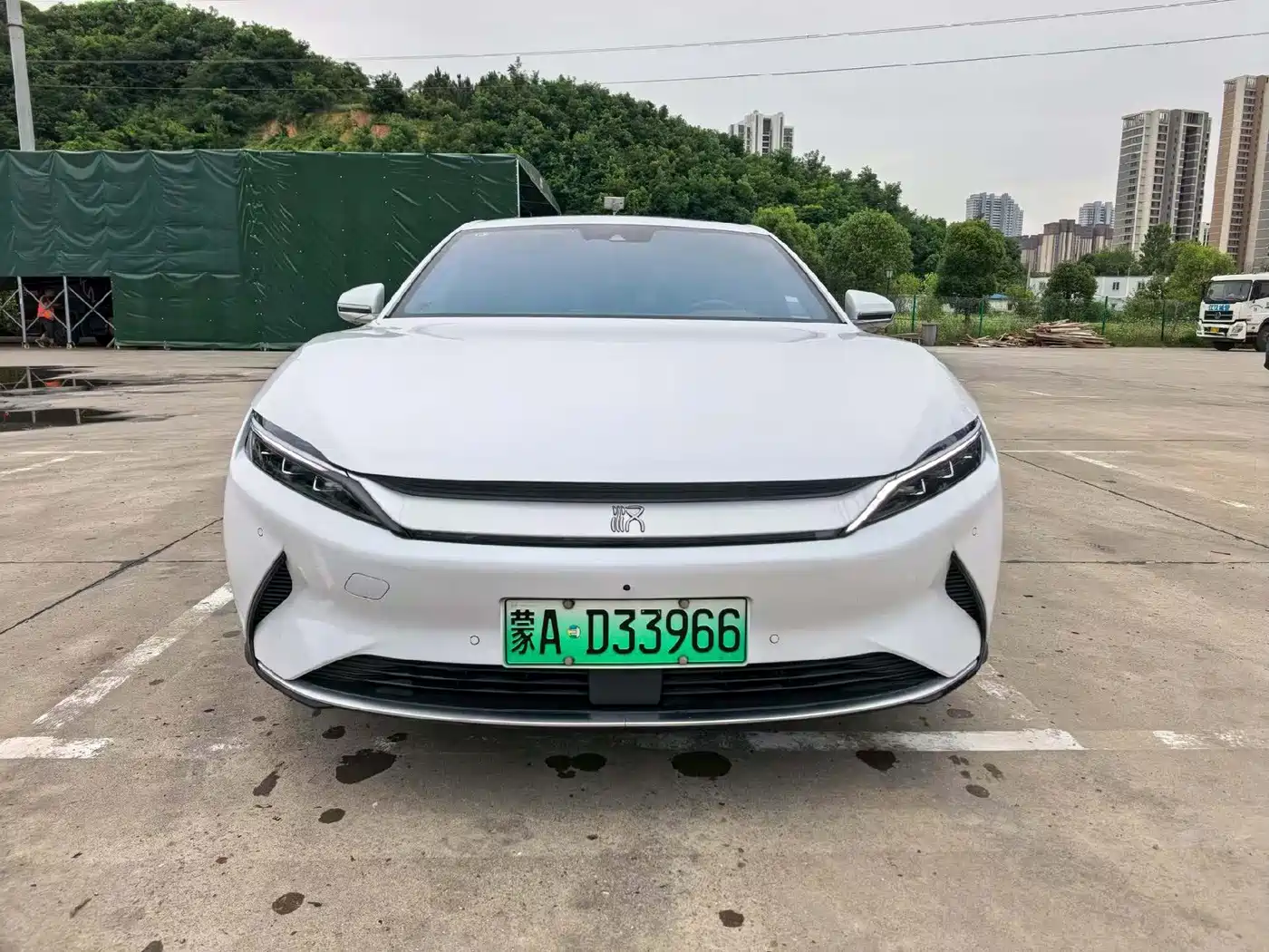 BYD Han 2020 EV AWD High-Performance Flagship фото 2