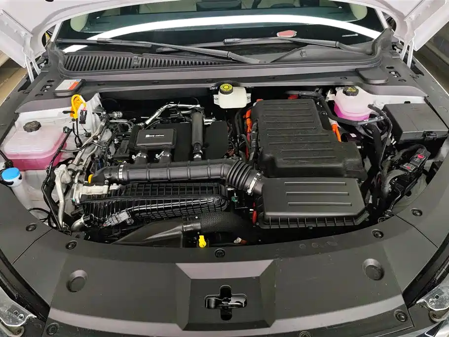 BYD Qin L 2024 DM-i 80KM Leading Edition фото 10