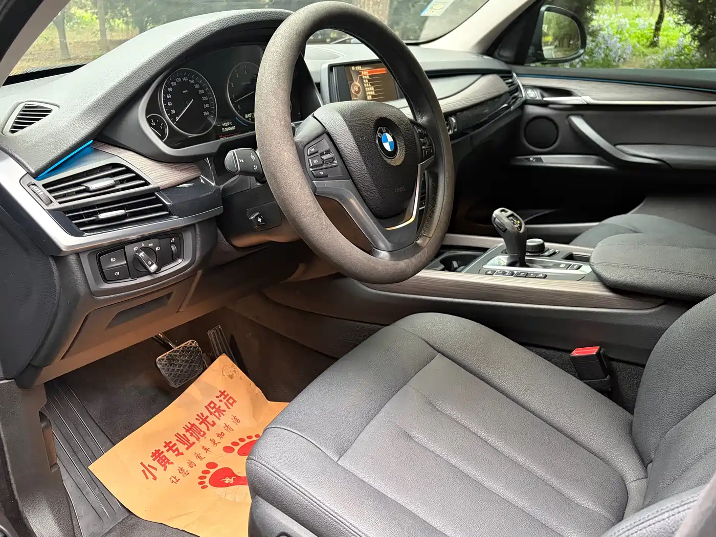BMW X5 (Import) 2017 xDrive35i Elegance фото 6