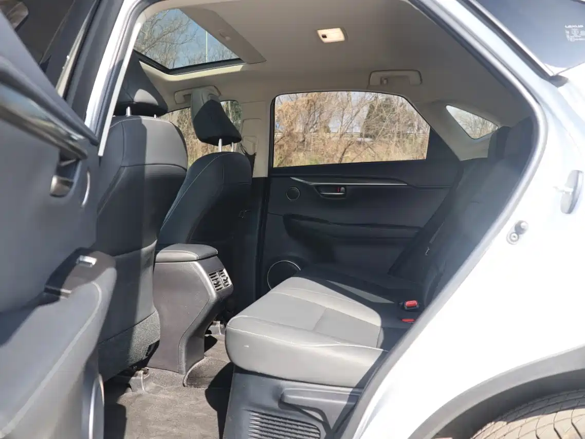 Lexus NX 2018 Model 200 AWD Fengshang Edition China V фото 9