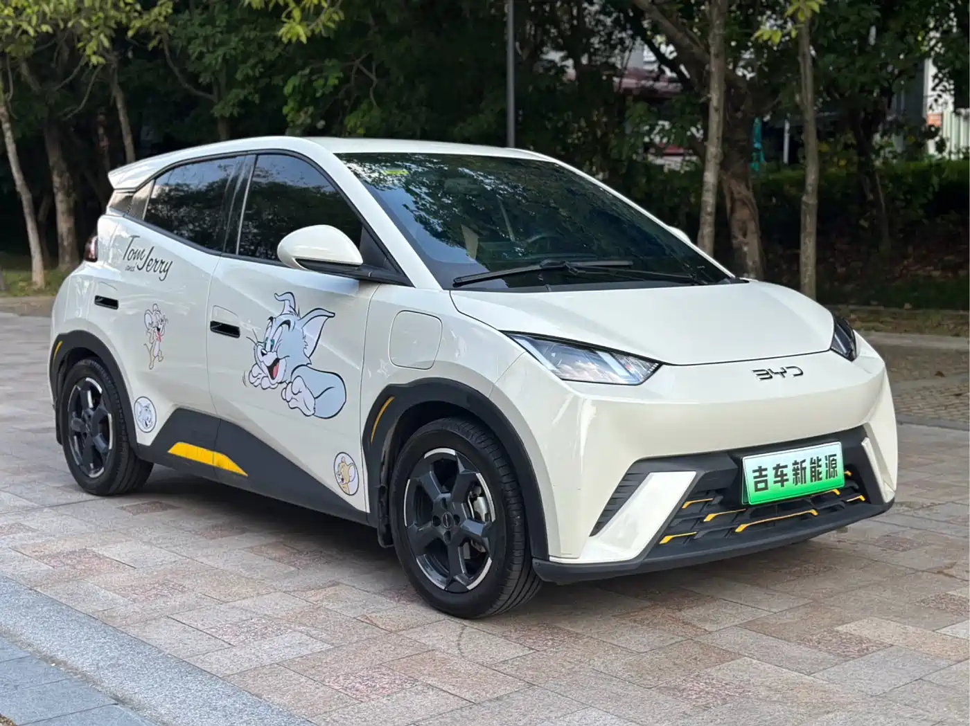 BYD Seagull 2023 Freedom Edition фото 2