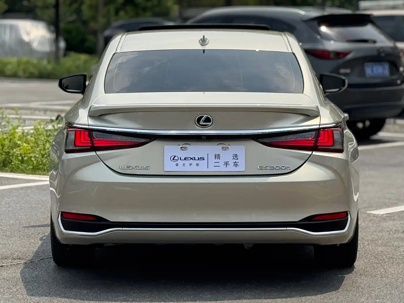 Lexus ES 2018 300h Executive Edition China V фото 16