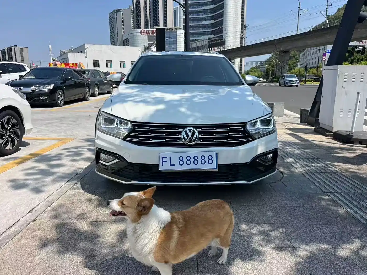 Volkswagen C-TREK 2017 230TSI DSG Luxury фото 2