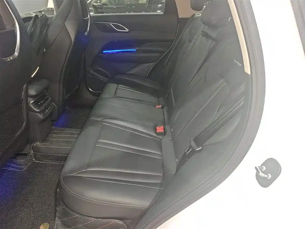 Hongqi HS3 2023 1.5T 2WD Virtue Edition фото 24
