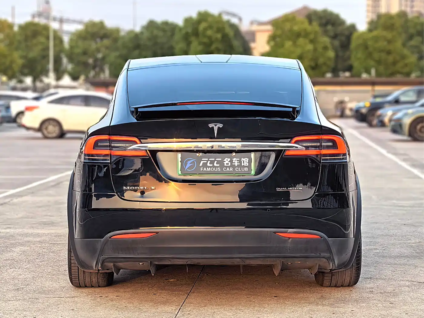 TESLA MODEL X