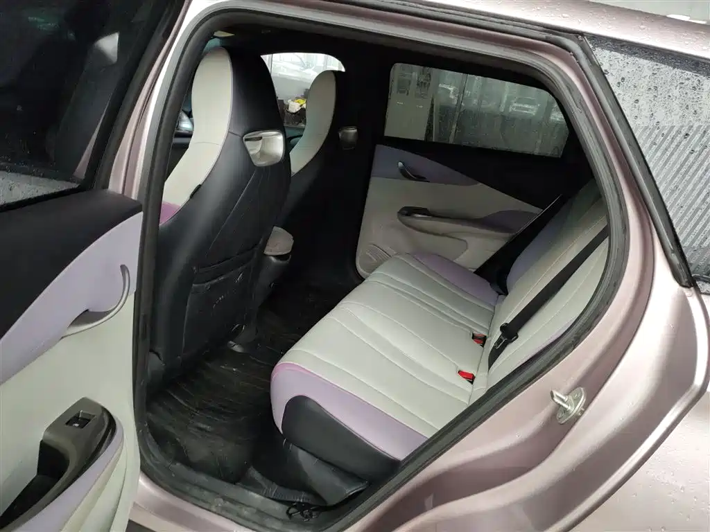BYD Dolphin 2021 Model 405km Fashion Edition фото 17