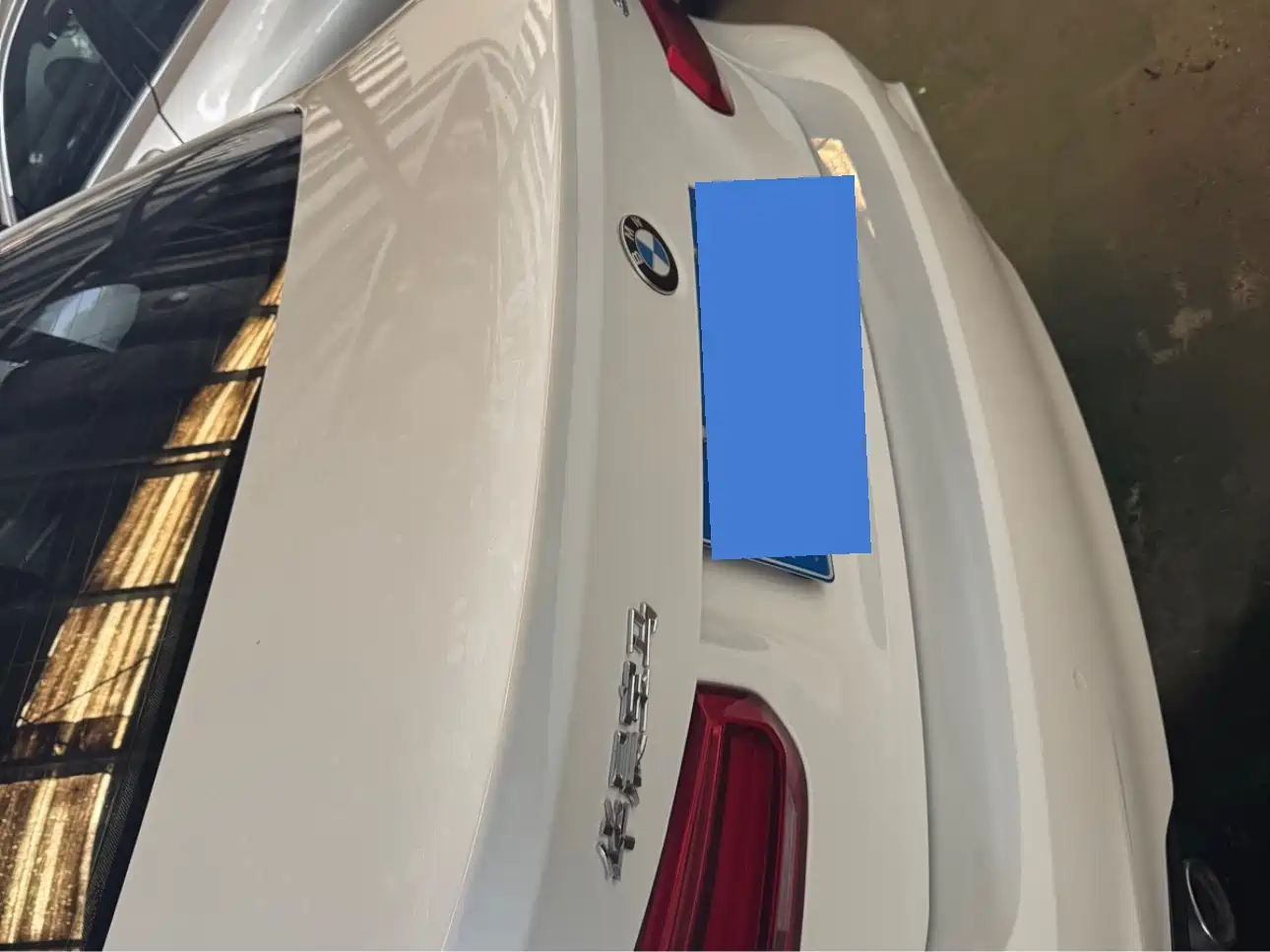 BMW 3 Series 2019 320Li M Luxury Package фото 11