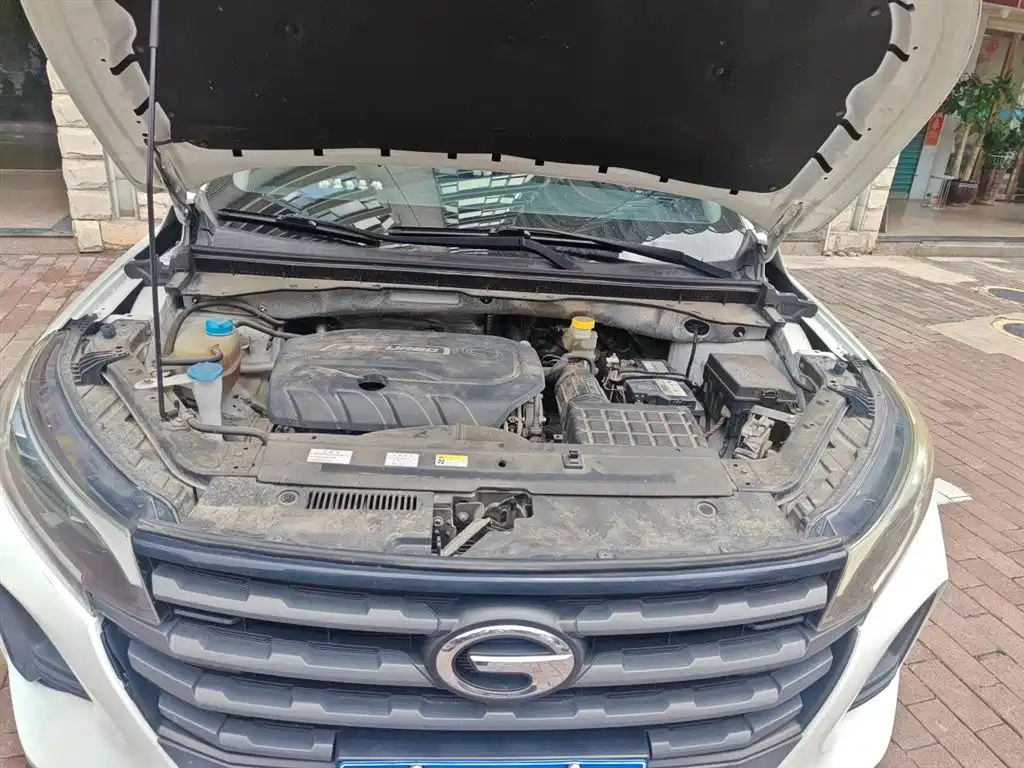 GAC Trumpchi Trumpchi GS4 2020 270T Automatic Elite Tech Version фото 16
