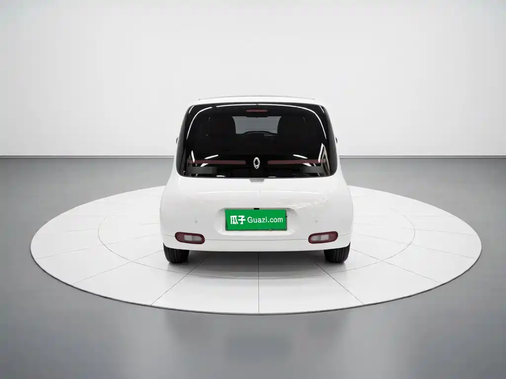 Ora White Cat 2020 2020 360km Luxury Model