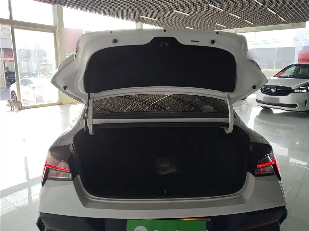 Hyundai Elantra 2023 1.5L CVT GLX Elite Edition фото 19