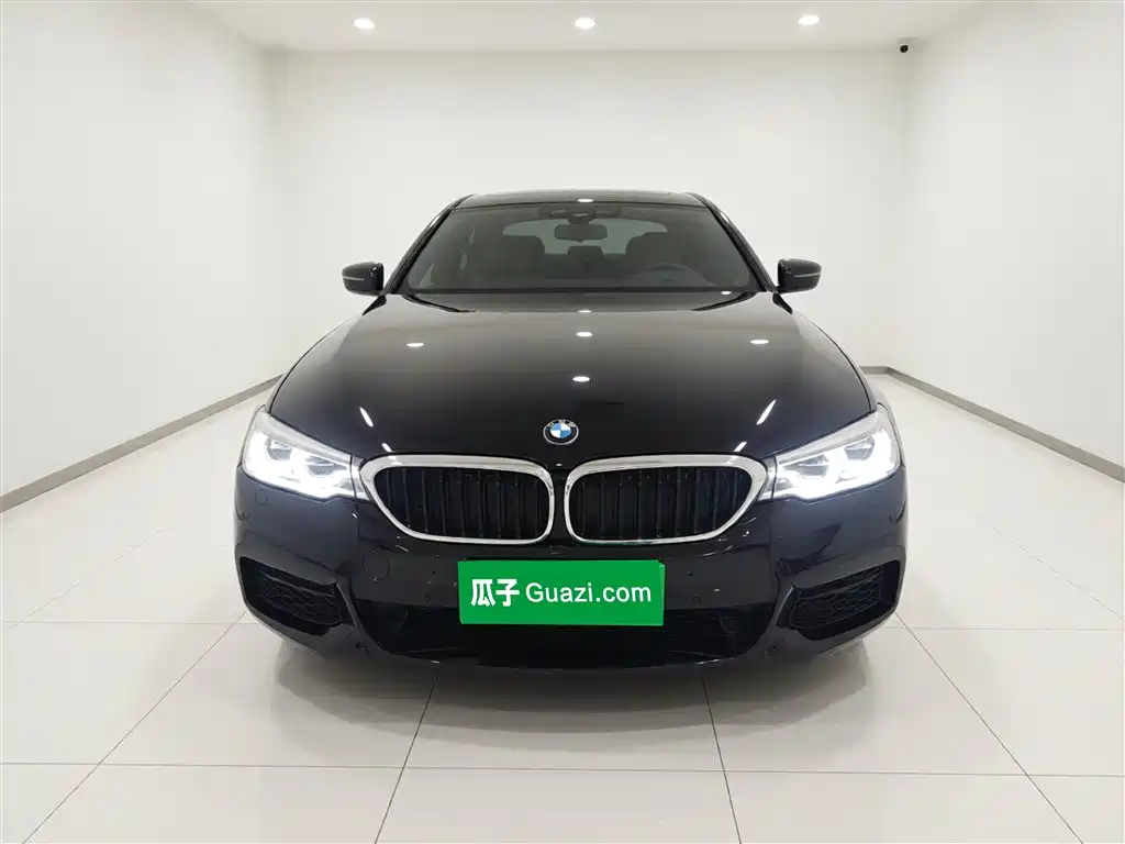 BMW 5 Series 2020 530Li Leading M Sport Package фото 2