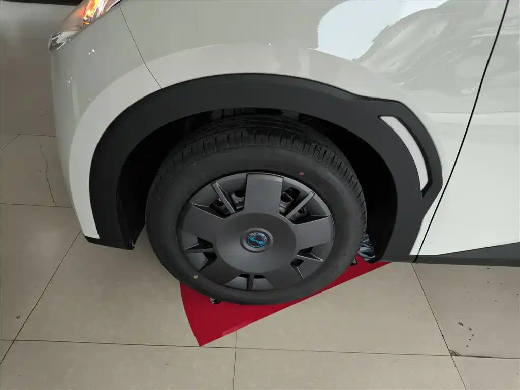 BYD Seagull 2025 Smart Drive Edition 305km Vitality Version фото 23