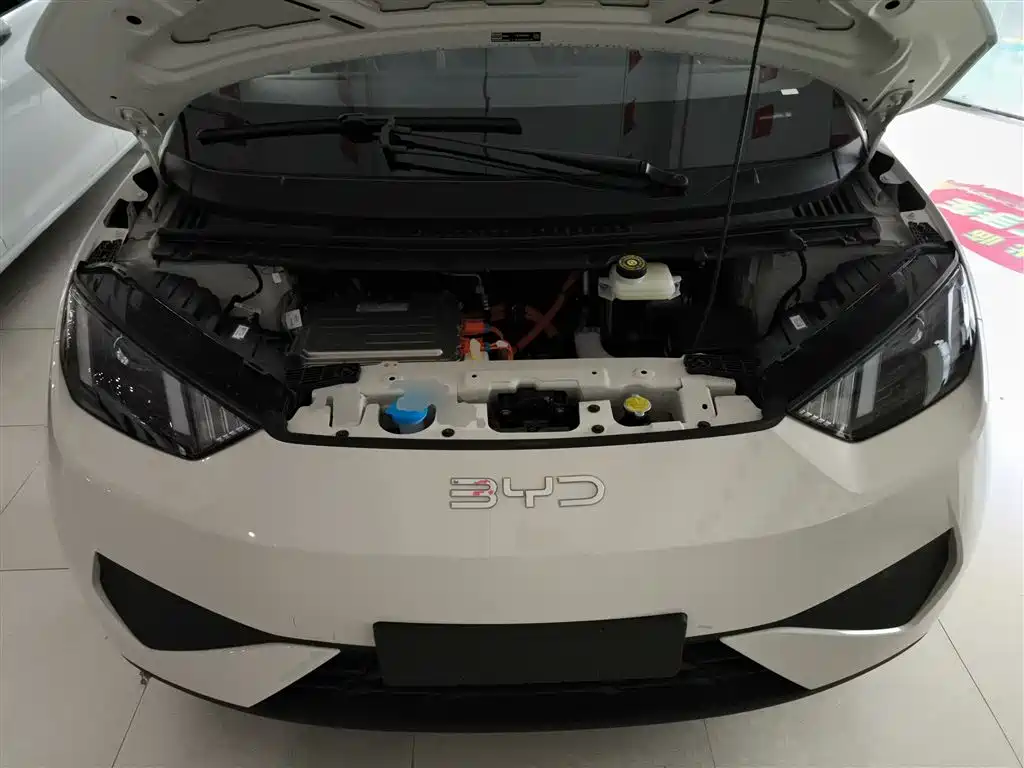BYD Seagull 2025 Smart Drive Edition 305km Vitality Version фото 20