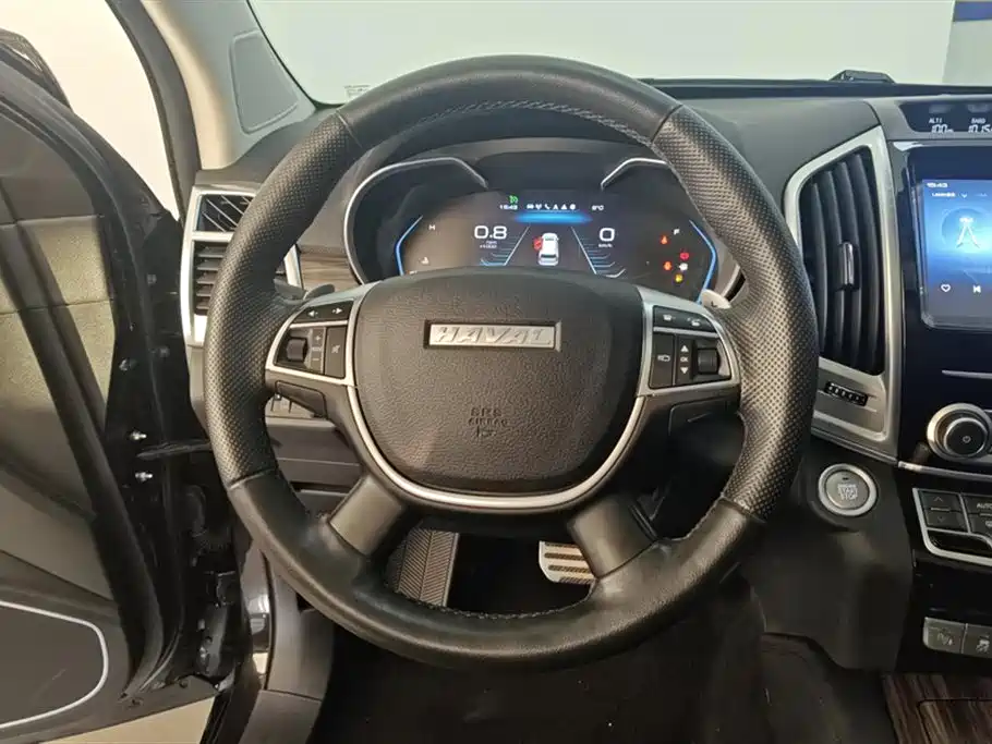 Haval H9 2020 2.0T Gasoline 4WD Elite 5-Seater фото 15
