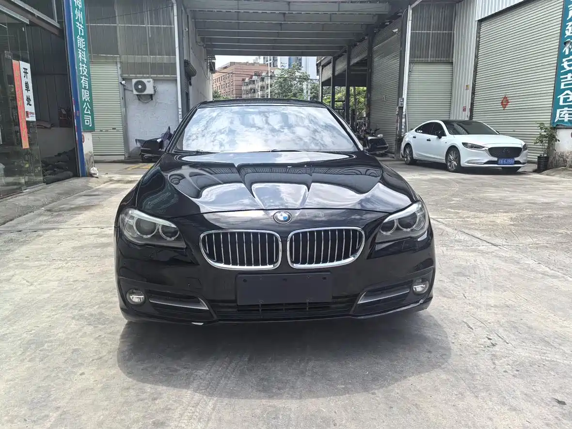 BMW 5 Series 2014 520Li Elegance фото 2