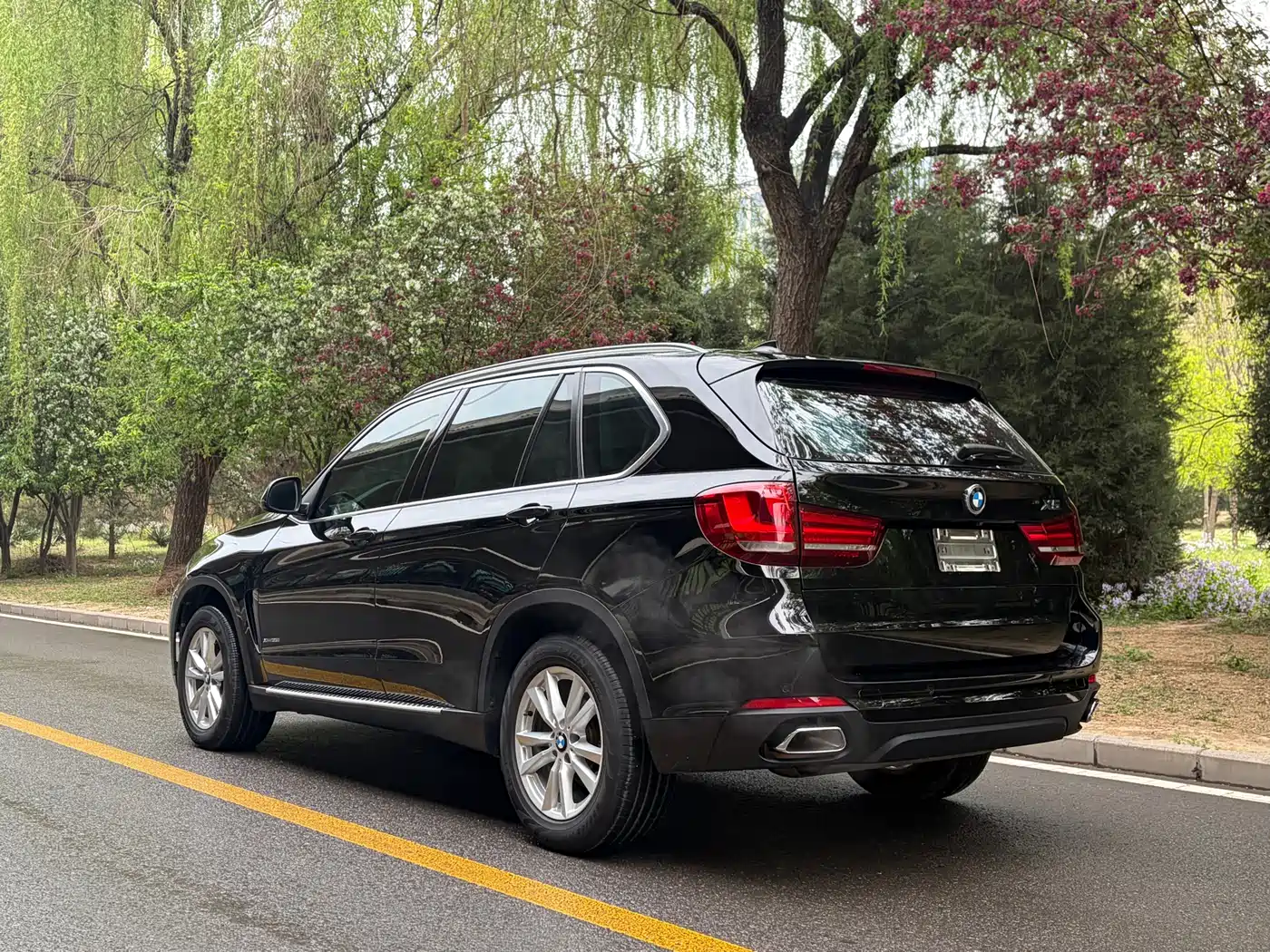 BMW X5 (Import) 2017 xDrive35i Elegance фото 2