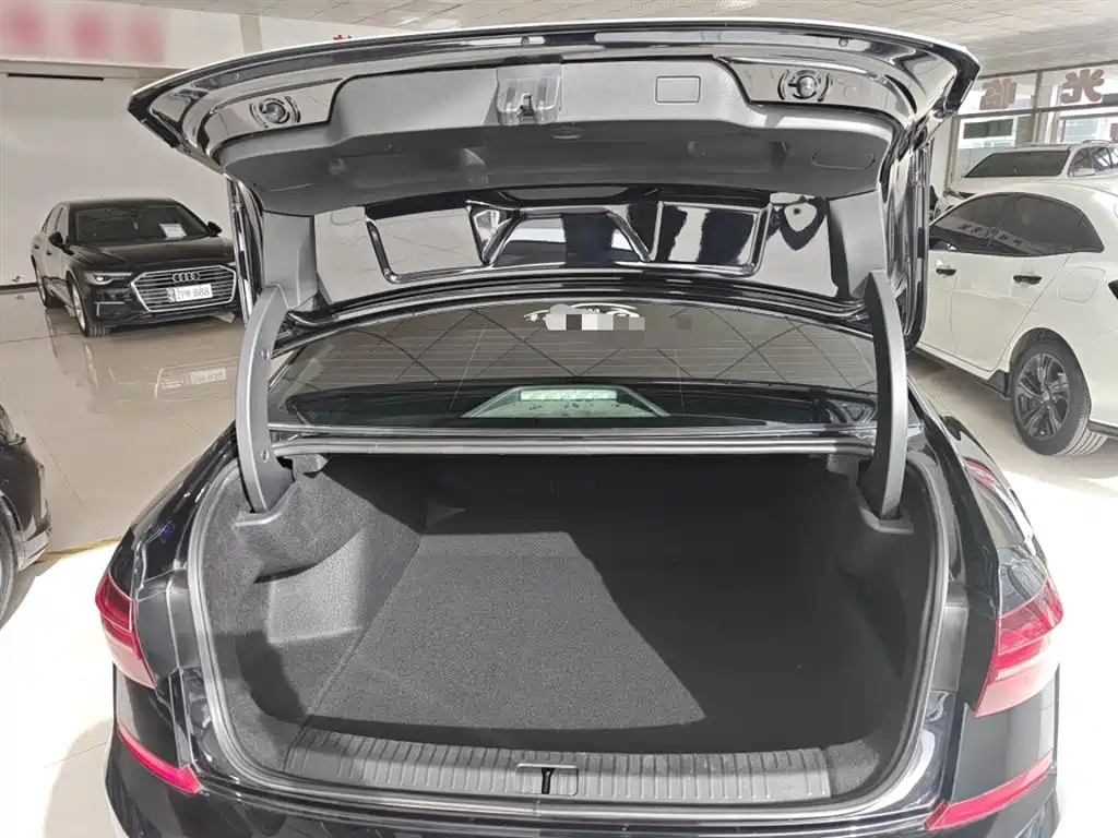 Volkswagen Passat 2019 330TSI Luxury Edition China VI фото 19