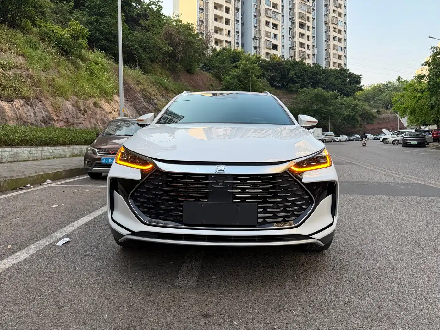 BYD Tang New Energy 2022 DM-p 215KM AWD Flagship фото 2