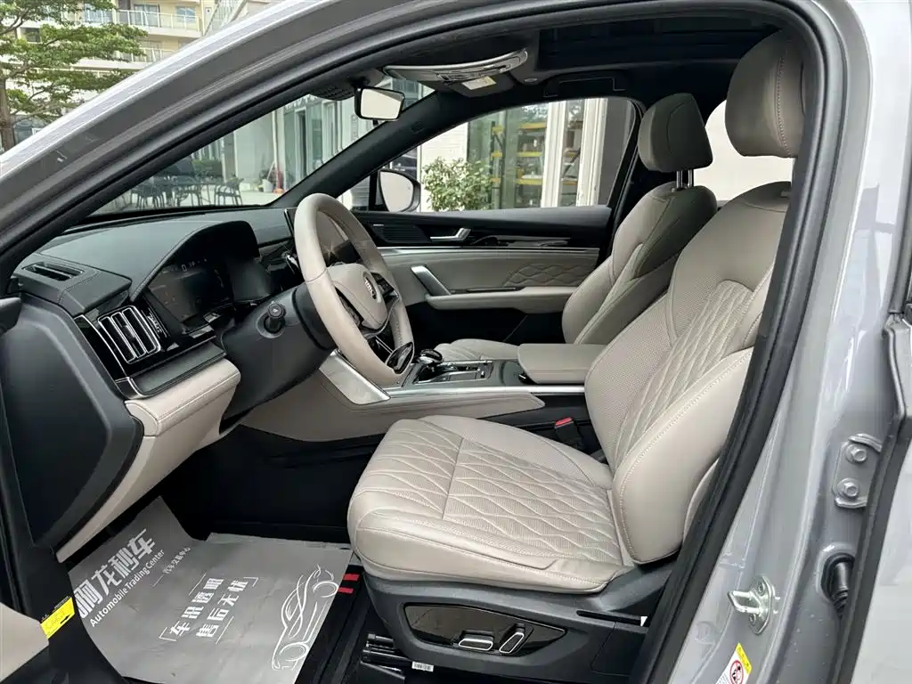 BYD Tang New Energy 2025 DM-i 115KM Prestige Type фото 14