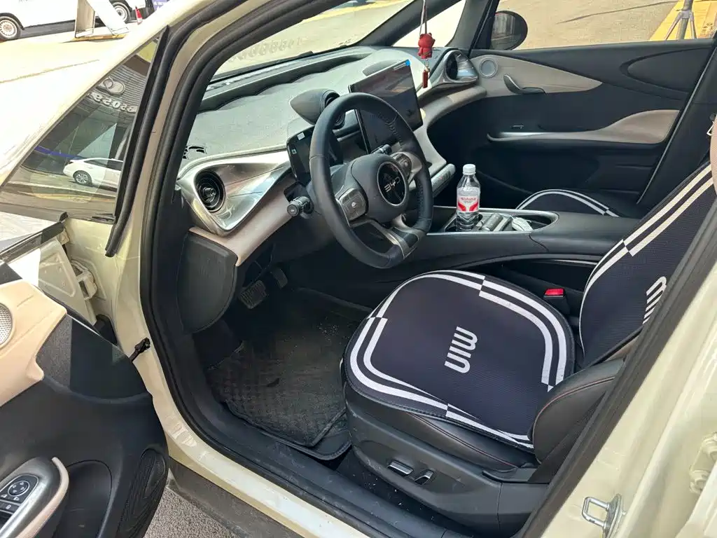 BYD Dolphin 2025 2025 420km Freedom Edition