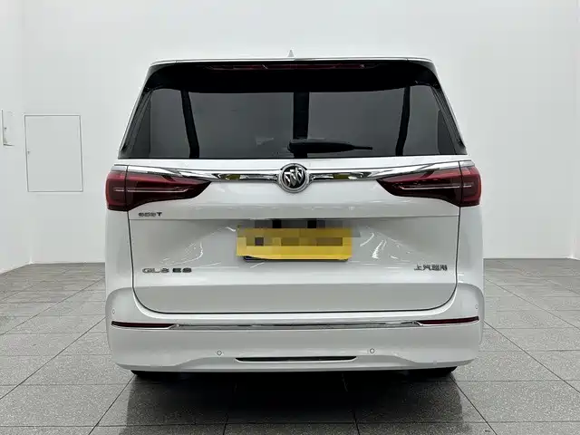 Buick GL8 2022 ES Landmark 653T Premium фото 5