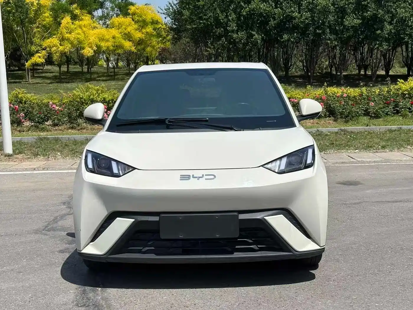 BYD Seagull 2024 Glory Edition 305km Vitality Edition фото 2