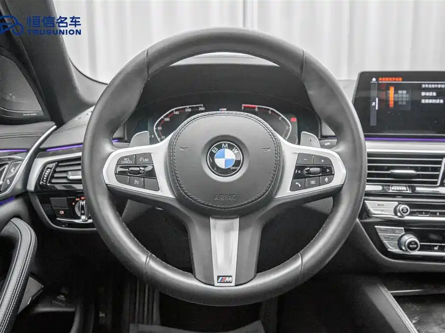 BMW 5 Series 2020 530Li Leading M Sport Package фото 17