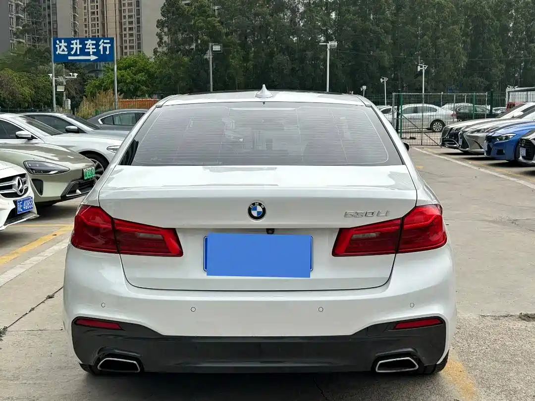 BMW 5 Series 2019 530Li Leading M Sport Package фото 7