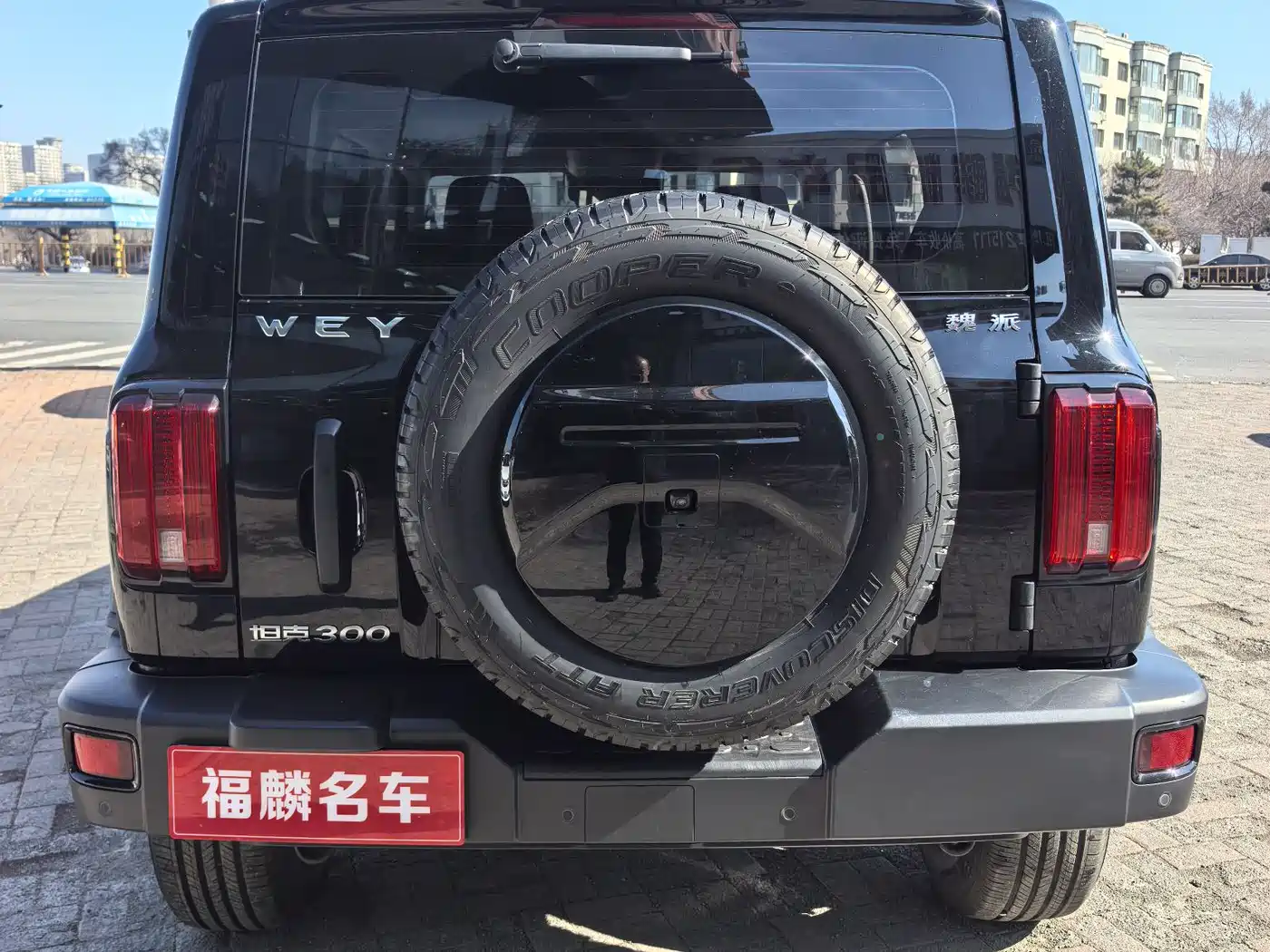 Tank 300 2021 Off-road Version 2.0T Conqueror фото 4