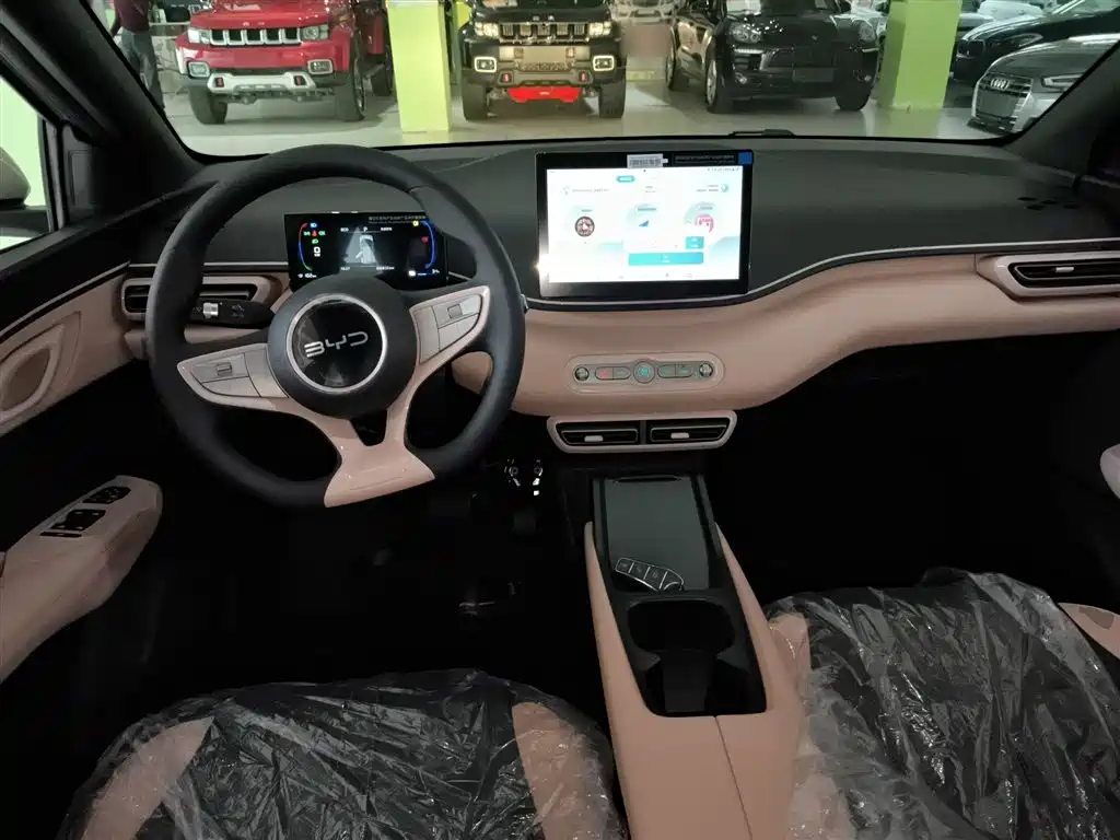 BYD Seagull 2025 Smart Drive Edition 305km Vitality Version фото 10