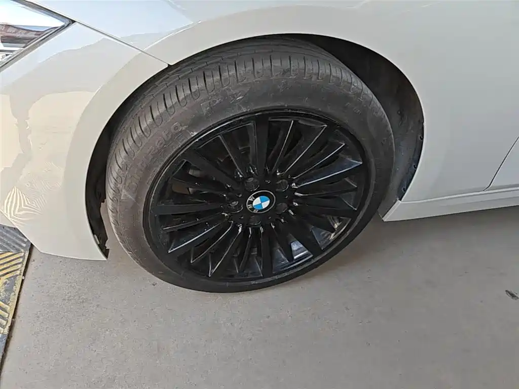 BMW 3 Series 2018 320Li Fashion Style фото 23