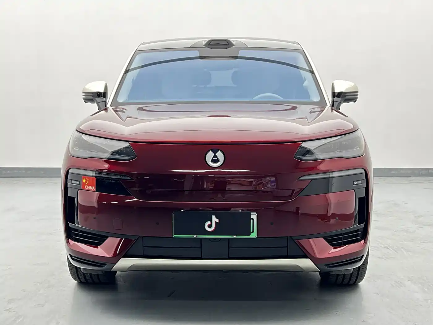 Denza N9 2025 2025 Model Prestige Edition