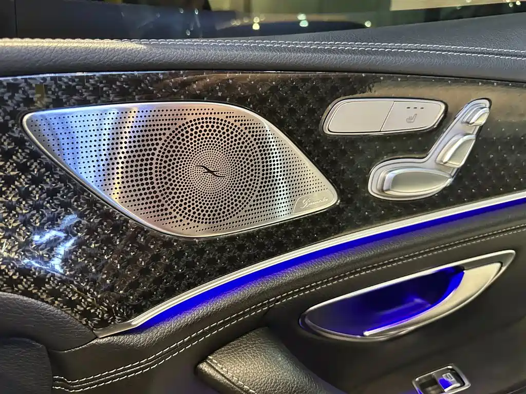 Mercedes-Benz AMG GT 2020 AMG GT 50 4-Door Coupe фото 16