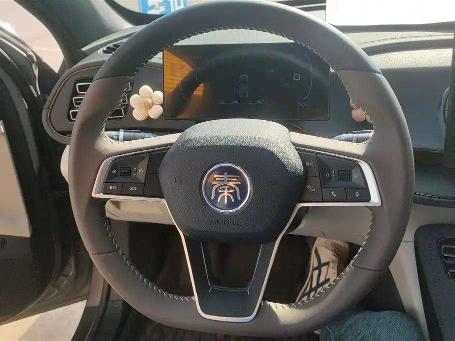 BYD Qin PLUS 2024 Glory Edition DM-i 55KM Leading фото 15
