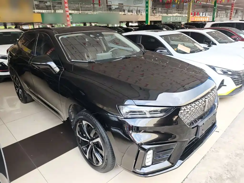 WEY Wei VV7 GT 2020 2020 2.0T Super Luxury