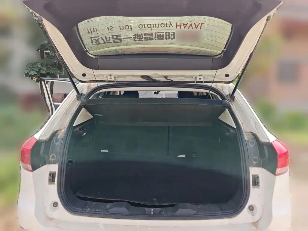 Фото 15 - Haval H2s