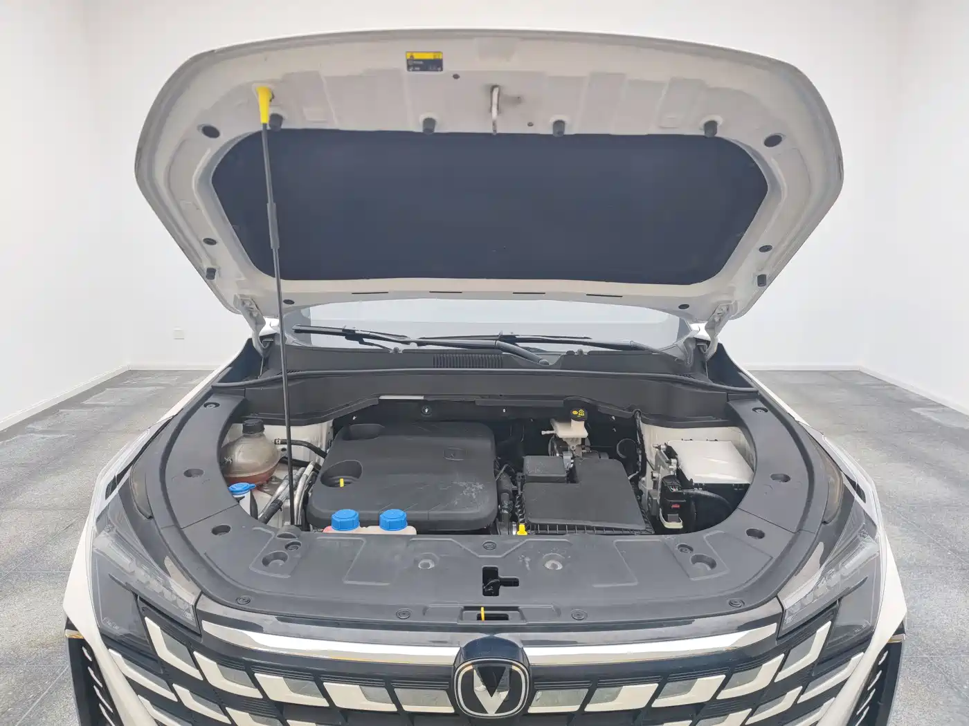 Changan UNI-Z New Energy 2024 2024 Blue Whale Smart Electric iDD 125km Excellence Model