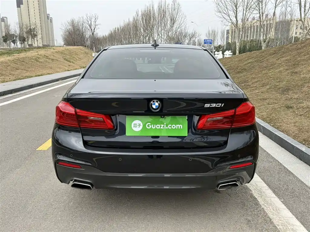 BMW 5 Series 2018 Facelift 530Li Leading M Sport Package фото 25