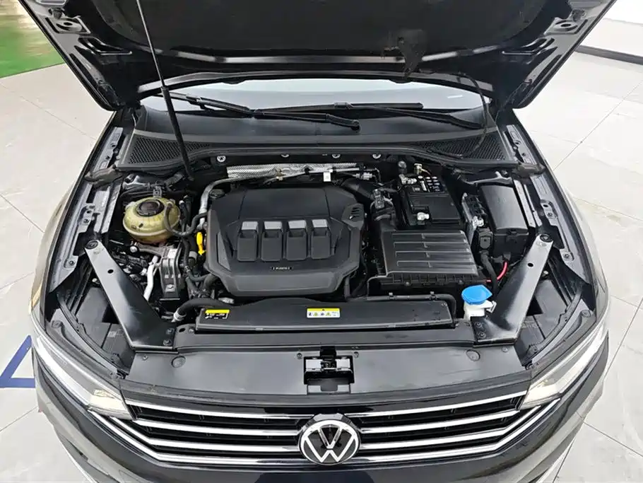 Volkswagen Magotan 2020 330TSI DSG Luxury фото 10
