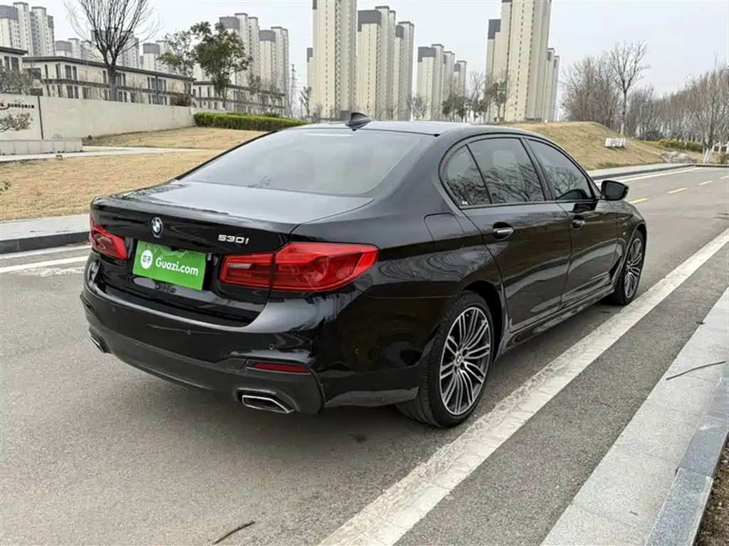 BMW 5 Series 2018 Facelift 530Li Leading M Sport Package фото 24