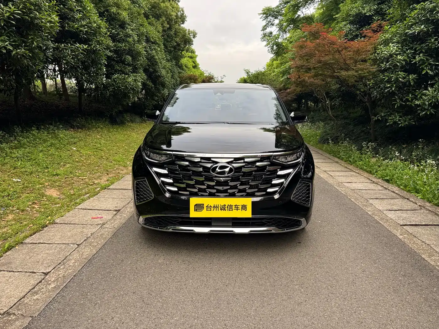 Hyundai Kustu 2024 270TGDi LUX Premium Edition фото 2