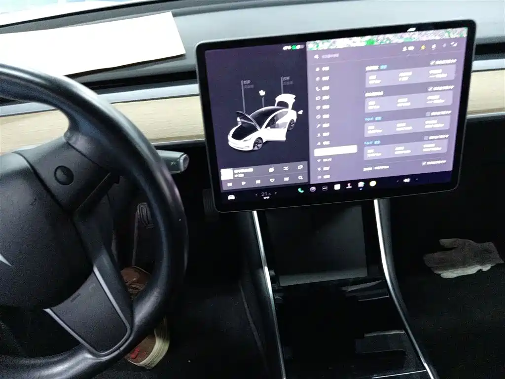 TESLA MODEL 3 (IMPORTED)