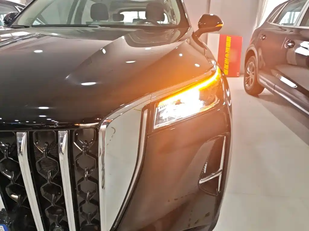 Фото 24 - Hongqi HS5
