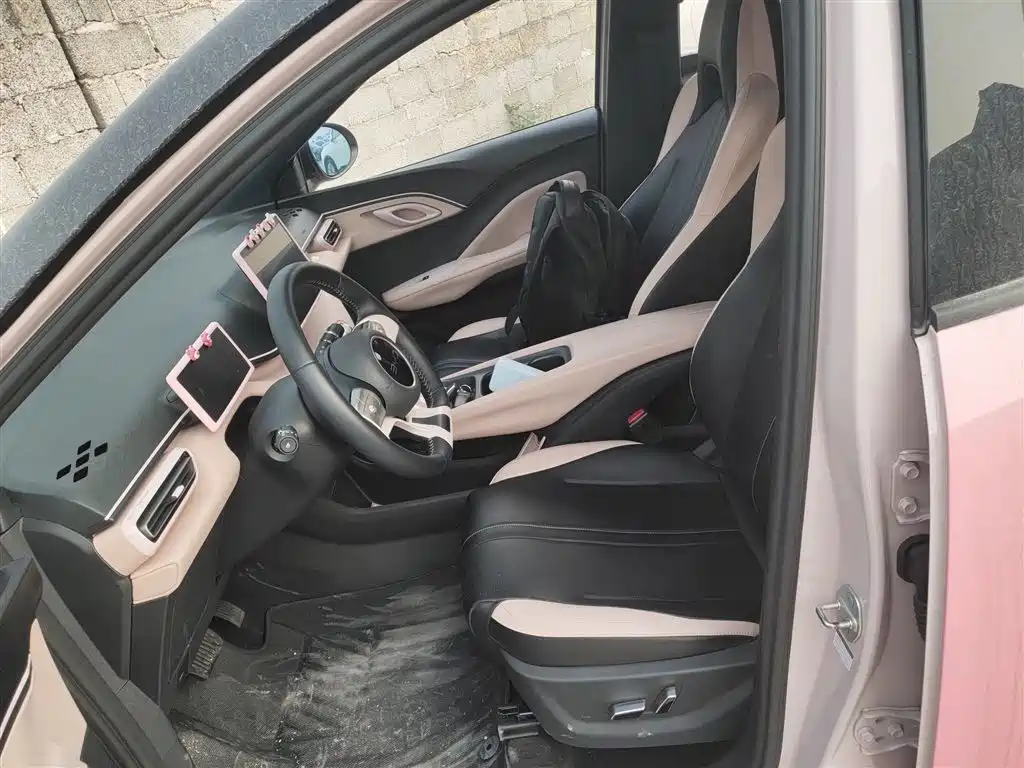 BYD Seagull 2024 Glory Edition 305km Freedom Edition фото 15