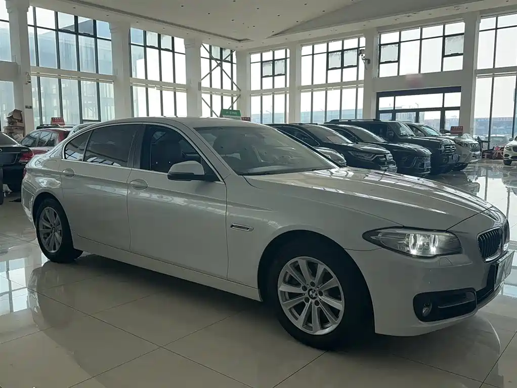 BMW 5 Series 2014 520Li Elegance фото 6