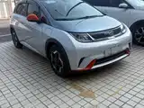 Фото 2 - BYD Dolphin